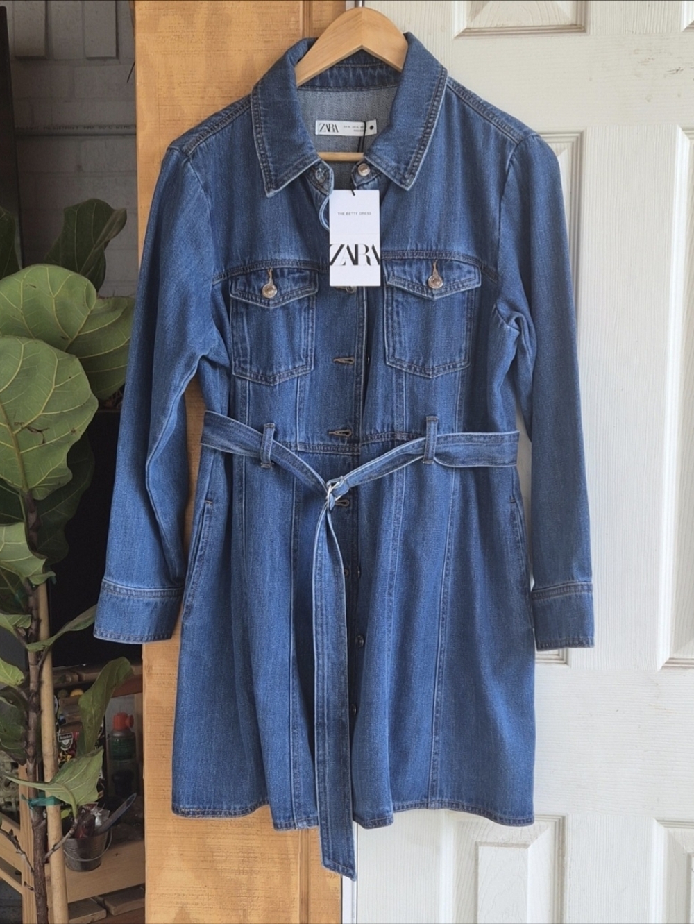 Zara The Betty Dress